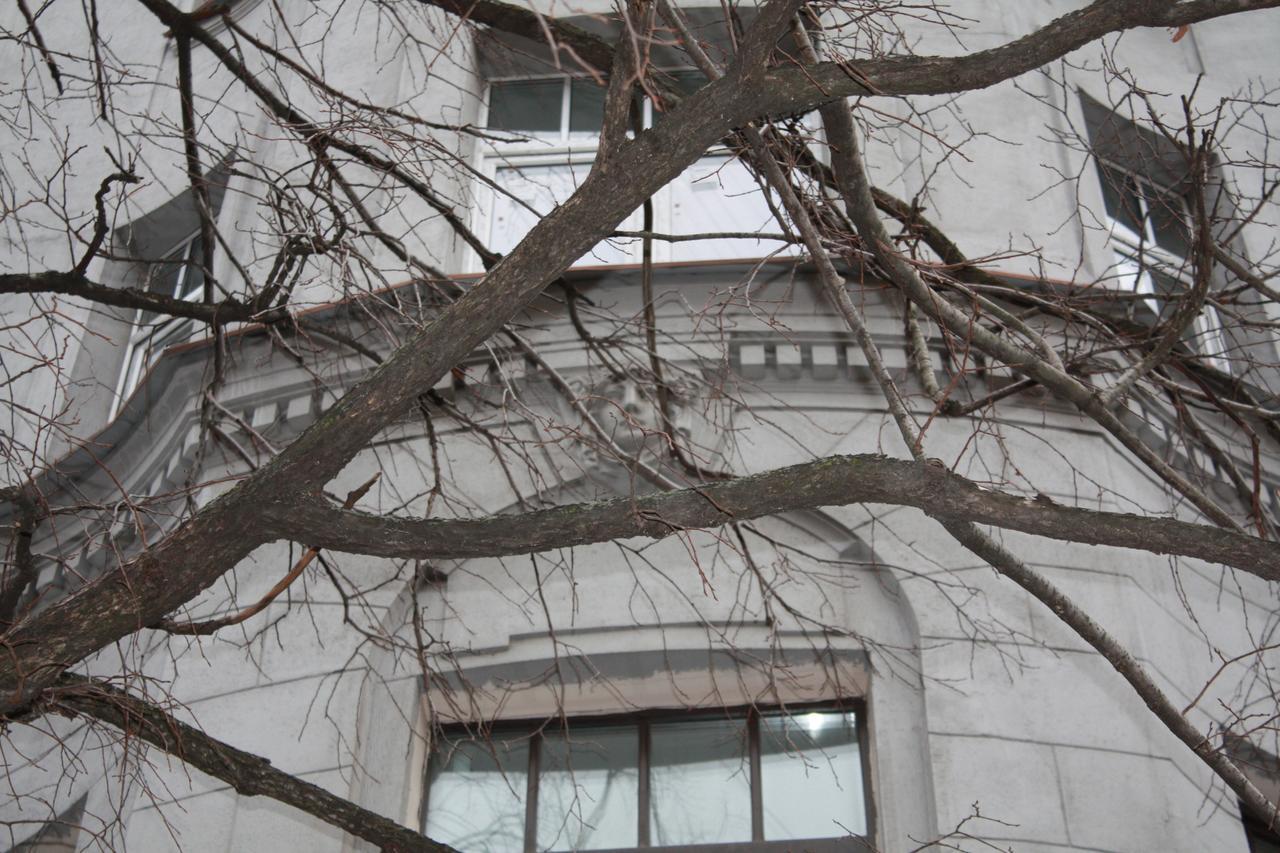 Ficus Vandrarhem Sankt Petersburg Exteriör bild